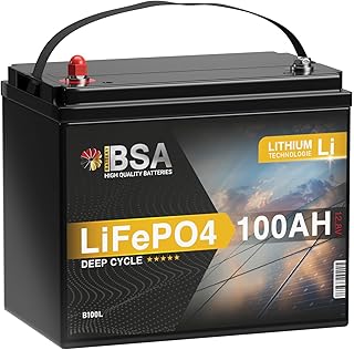 BSA LiFePO4 100Ah 12V Mini Lithium Batterie Wohnmobil Akku mit BMS Solarbatterie Solar Boot