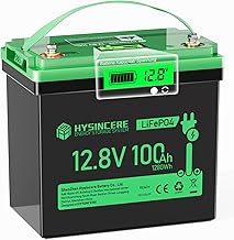 12V LiFePO4 100Ah Batterie Mini mit LED, Lithium Aufbau Batterie mit 100A BMS Low Temperature Sch…