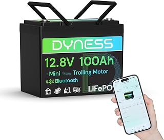 Dyness LiFePO4 12V 100Ah Lithium Batterie Bluetooth Mini mit 100A BMS, Max.15000 Zyklen, 12V Deep…