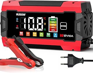 12V/24V 10A/5A Batterieladegerät mit Farbdisplay,für Auto/Motorrad (Rot 10)