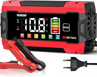 12V/24V 10A/5A Batterieladegerät mit Farbdisplay,für Auto/Motorrad (Rot 10)